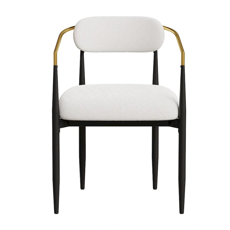 Set of 2 Modern Medieval Dining Chairs,Teddy Velvet, Metal Legs