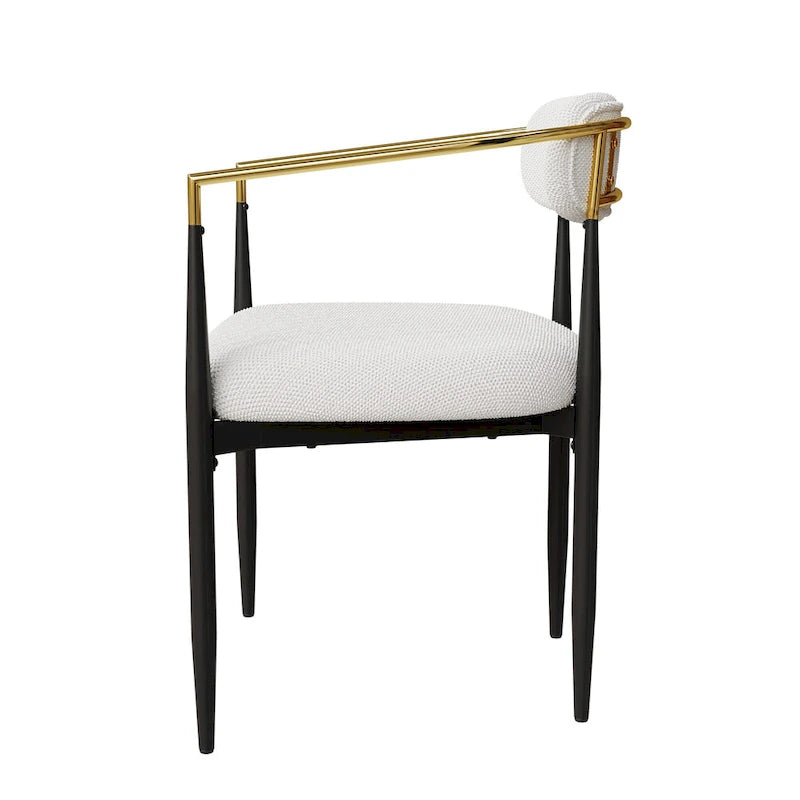 Set of 2 Modern Medieval Dining Chairs,Teddy Velvet, Metal Legs