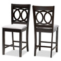 Modern and Contemporary Counter Stool 2-Piece Set