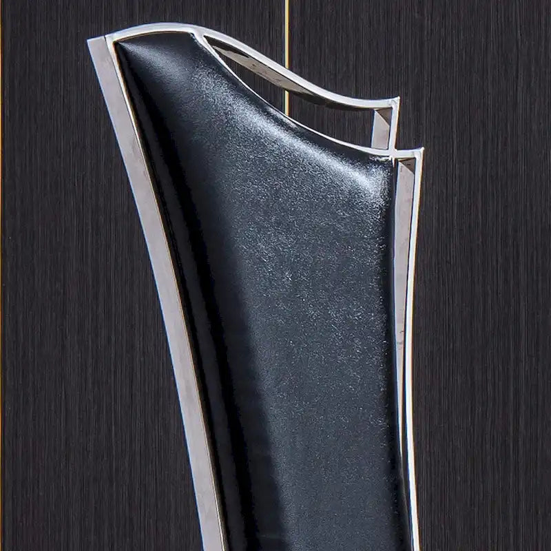 Velvet Unique Design Backrest Dining Chair with Stainless Steel Legs Set of 2